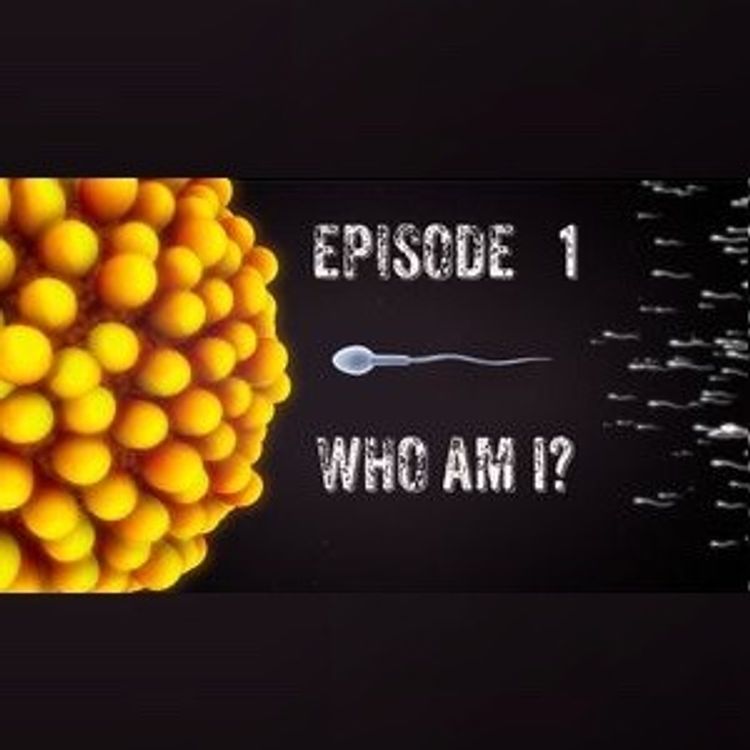 cover art for Episode 1 - Who Am I?