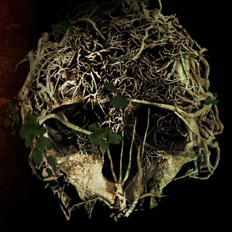 cover art for The Forest