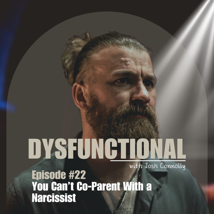 cover art for You Can’t Co-Parent With a Narcissist