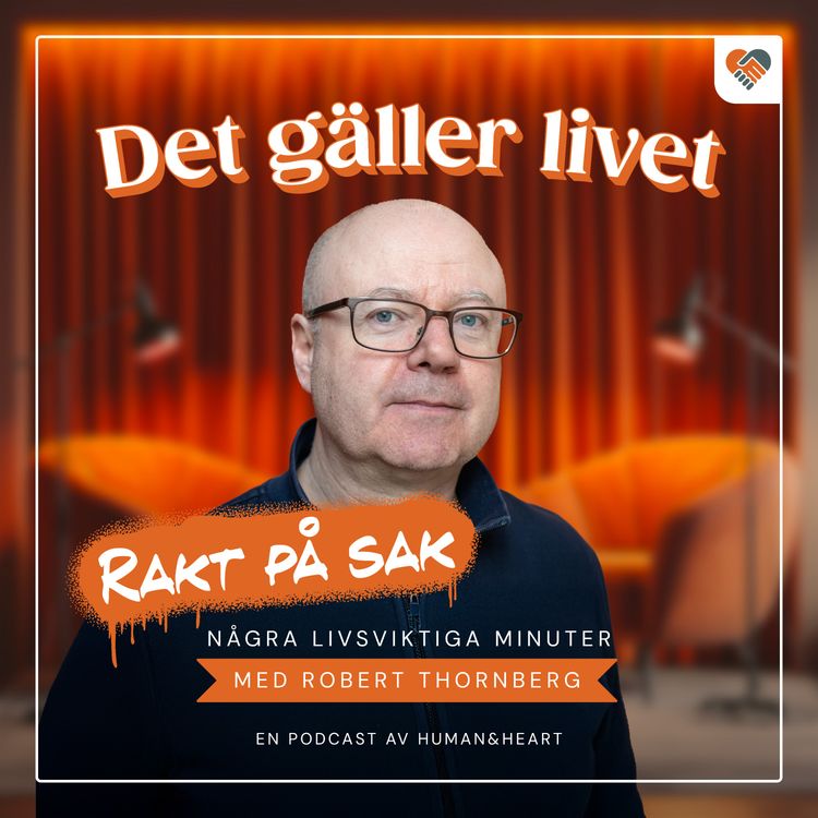 cover art for PREMIÄR: Så kan mobbning i skolan bekämpas – enligt forskningen