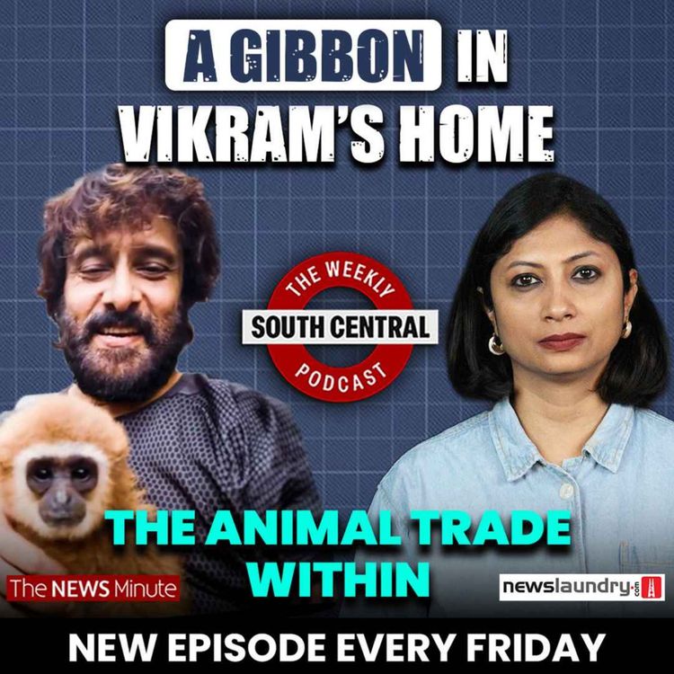 cover art for Vikram’s Lar Gibbon video and TN Speaker’s anti-abortion speak | South Central 88