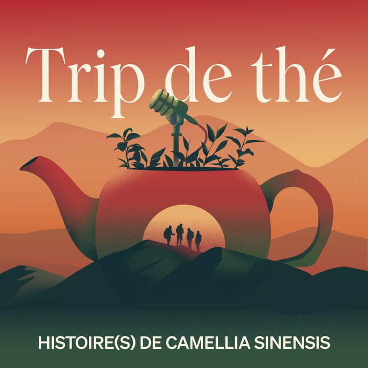 cover art for À la source : Révélations