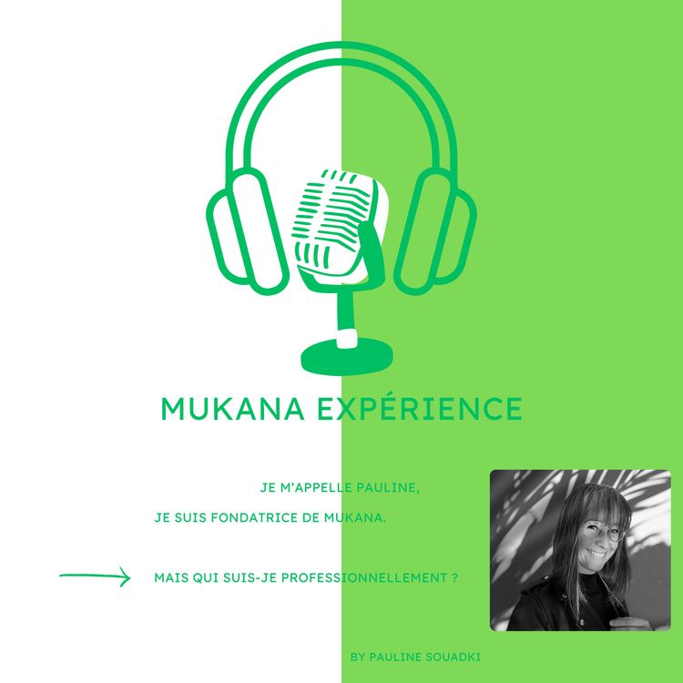 cover art for Mais qui suis-je professionnellement ?