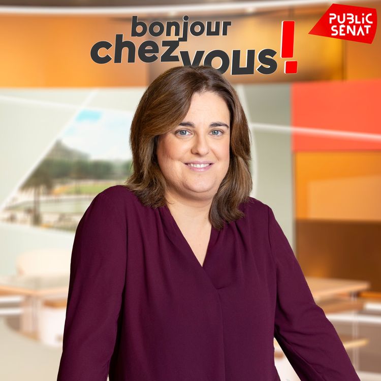 cover art for Julien Odoul : « Monsieur Retailleau est la nouvelle éolienne de la droite »