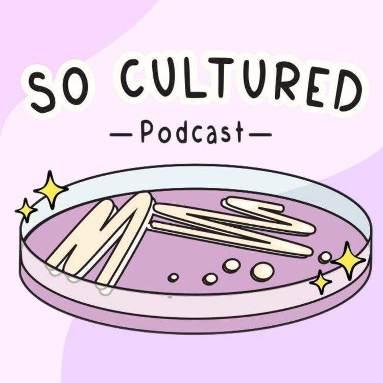 cover art for 3. Are we living in a simulation? + clubbing with your professor? | DEBUNKED Episode 3