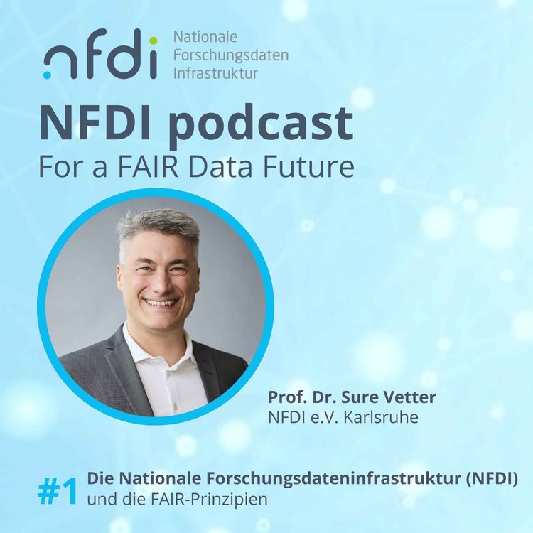 cover art for Die Nationale Forschungsdateninfrastruktur (NFDI) 