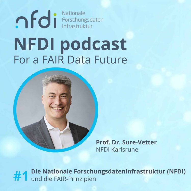 cover art for Die Nationale Forschungsdateninfrastruktur (NFDI) 