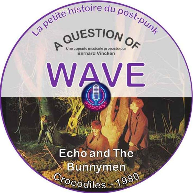 cover art for Echo & The Bunnymen