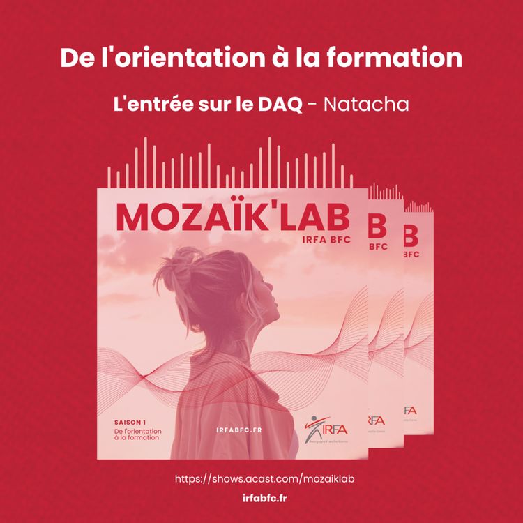 cover art for L'entrée sur le DAQ - Natacha