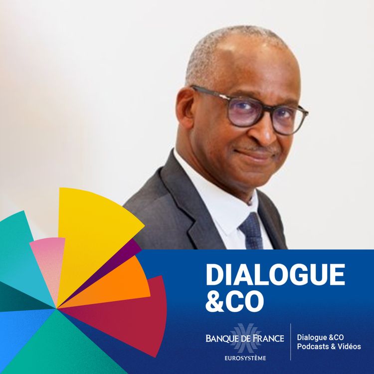 cover art for Outre-mer : territoires, monnaies et défis de la convergence