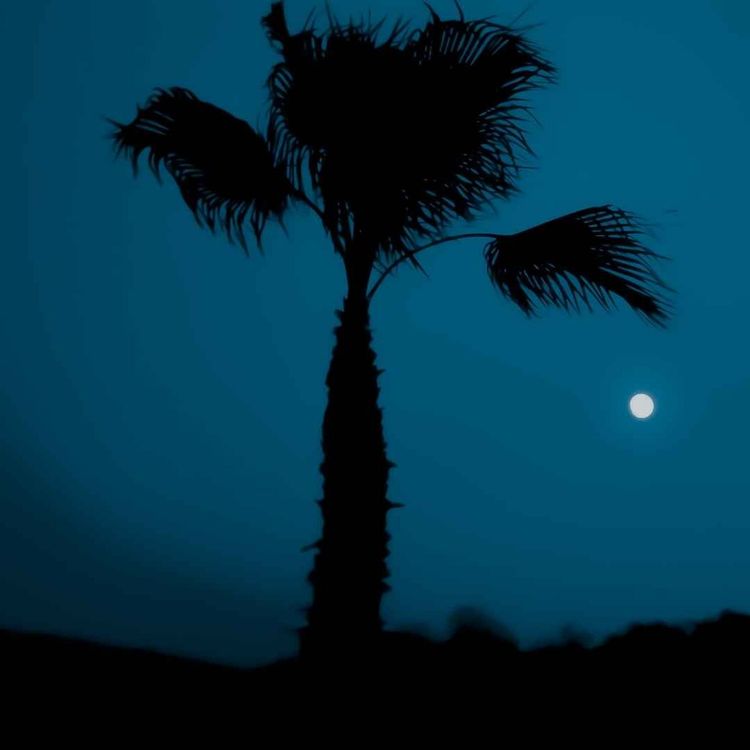 cover art for نخل شیطانی