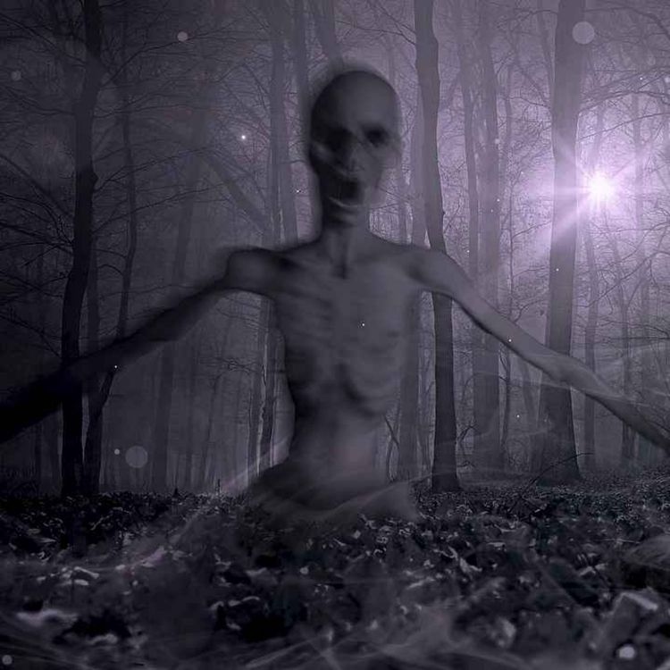 cover art for باغ شیطانی