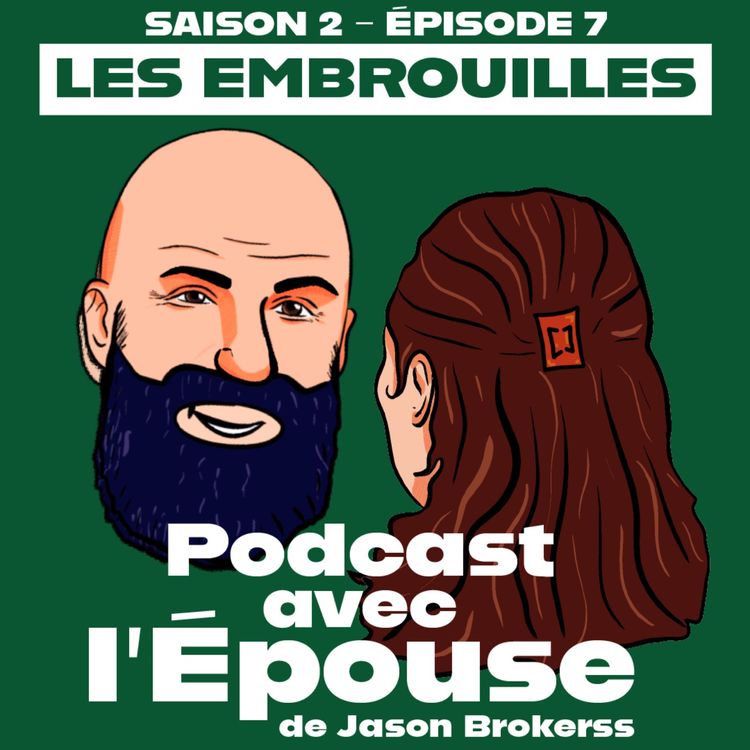 cover art for Les embrouilles