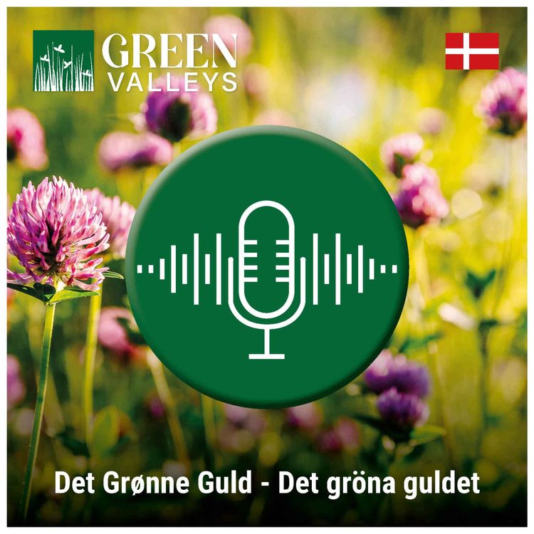 cover art for Det Grønne Guld - Det gröna guldet