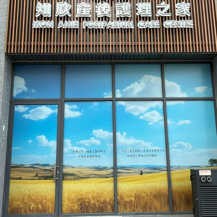 cover art for Ante ou post partum ?