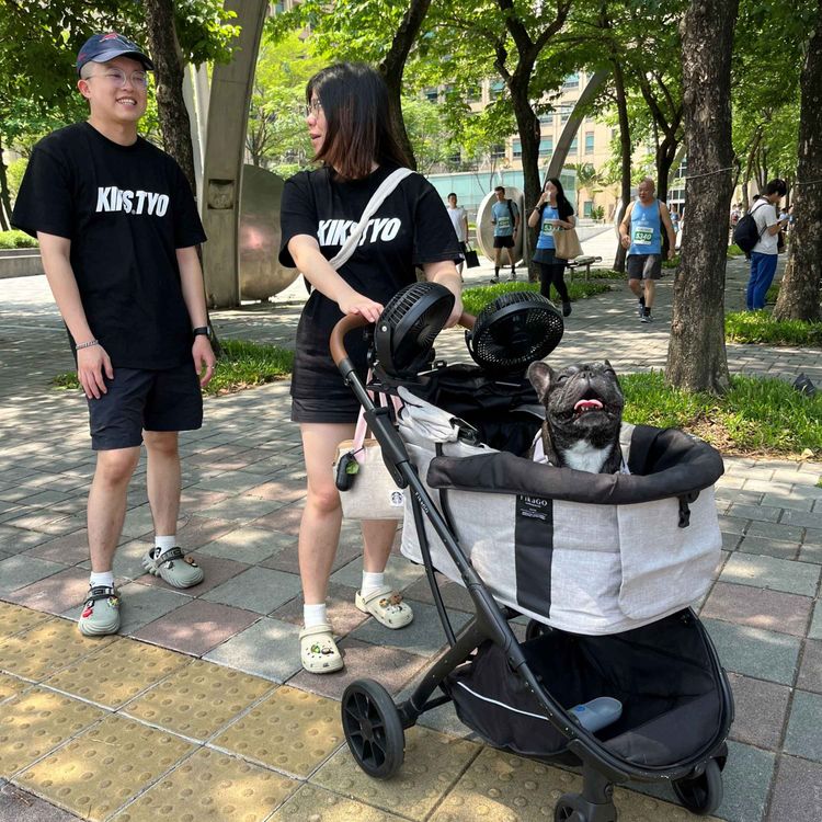 cover art for Le constat de la chute