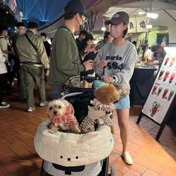 cover art for ROC Taiwan  : naître ou ne pas naître ?