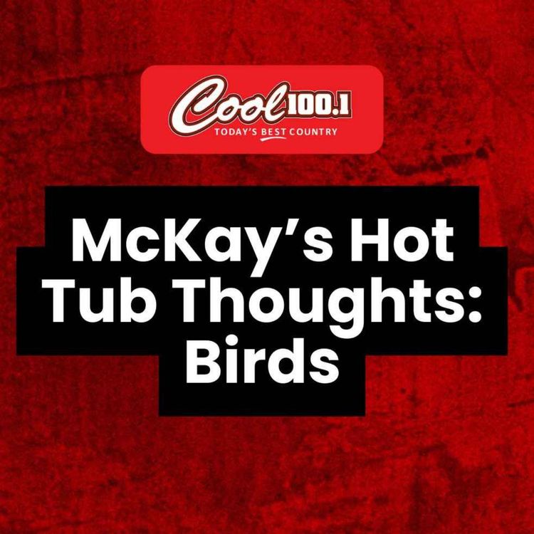 cover art for Hot Tub Thoughts: Birds