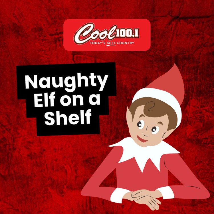 cover art for Naughty Elf on a Shelf