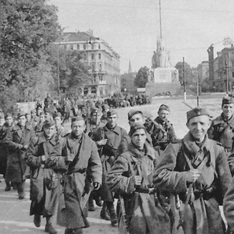 cover art for Latvian Soldiers in WWII