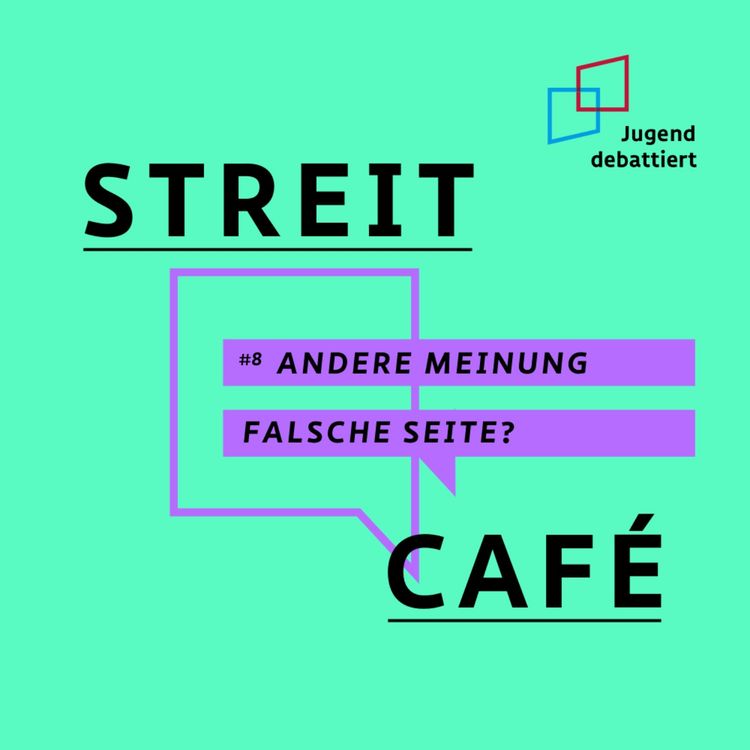 cover art for #8 Andere Meinung – falsche Seite?