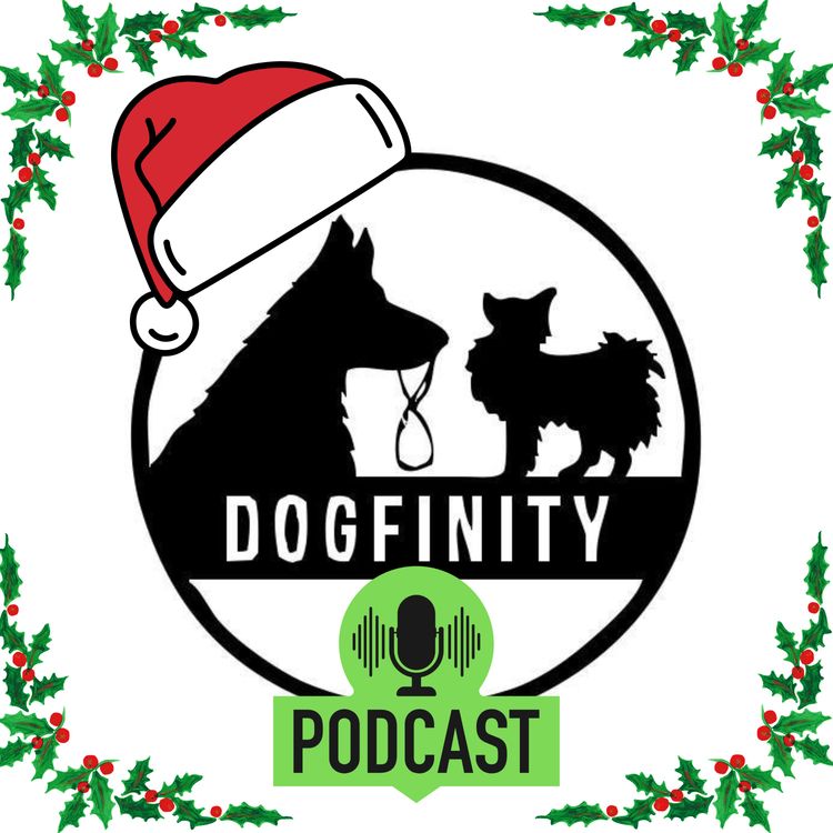 cover art for 28. Julekalender luke 2 = Favorittøvelsen FRI VED FOT