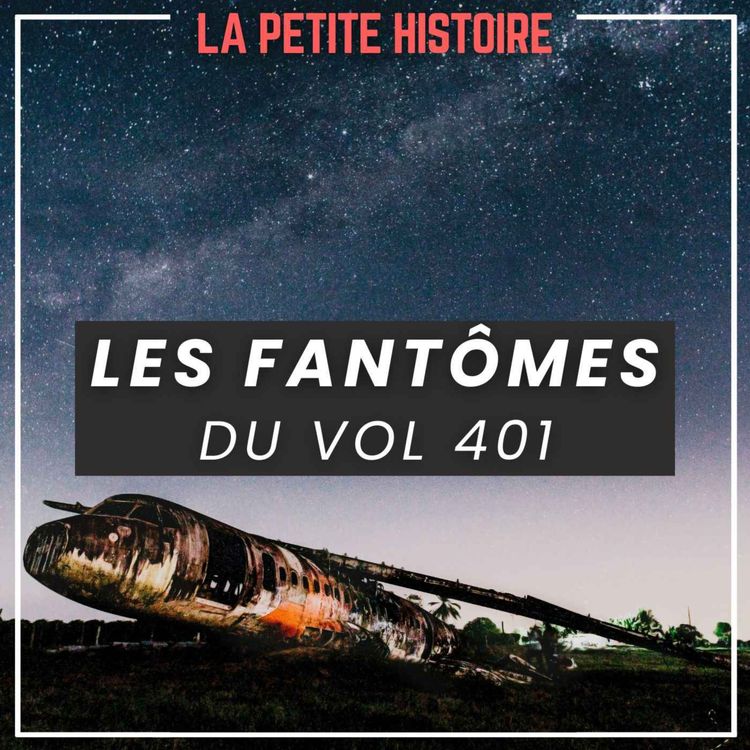 cover art for 29 décembre 1972 : Le crash du vol 401