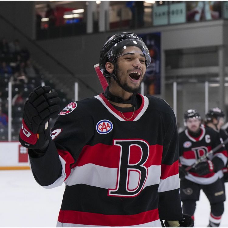 cover art for Belleville Sens Chats: Djibril Toure