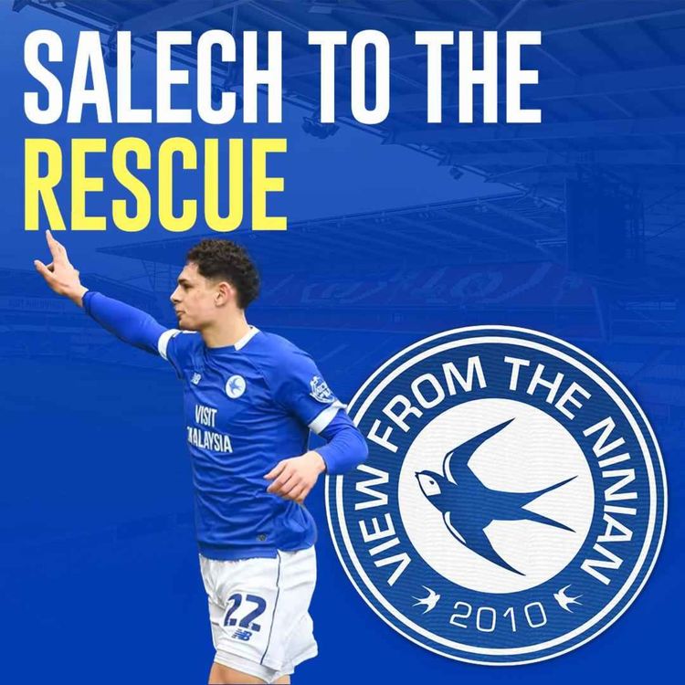 cover art for Salech to the rescue
