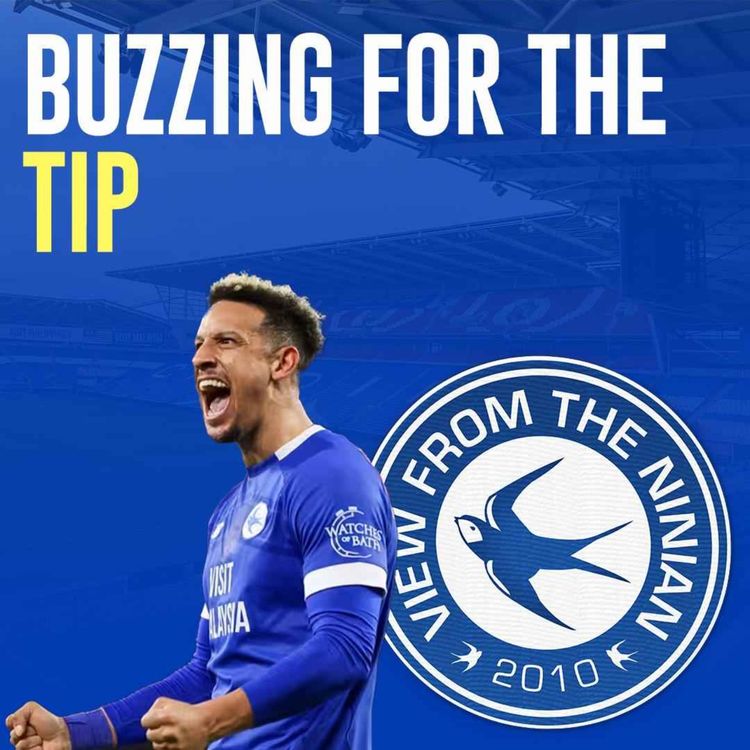 cover art for Buzzing for the tip
