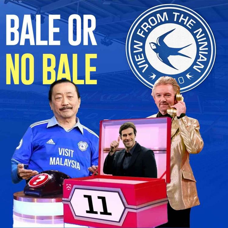 cover art for Bale or No Bale