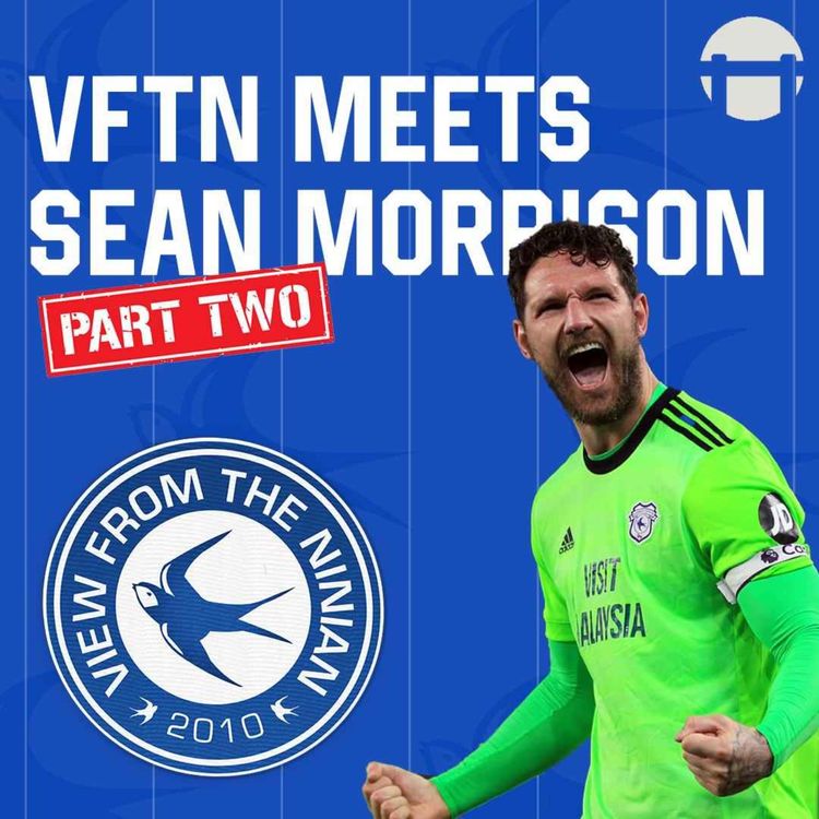 cover art for VFTN Meets Sean Morrison (Part Two)