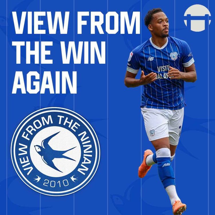 cover art for View From the Win Again