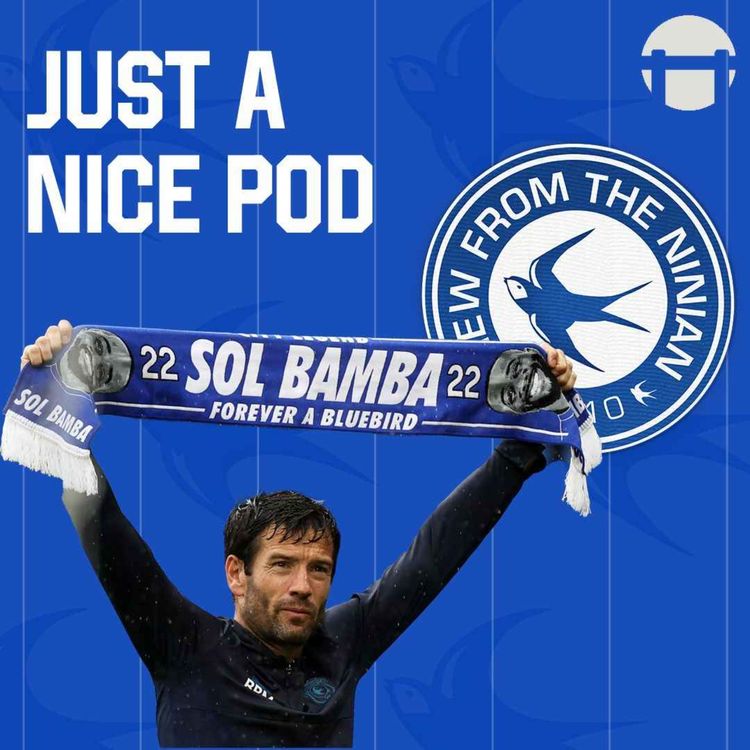 cover art for Just a nice pod