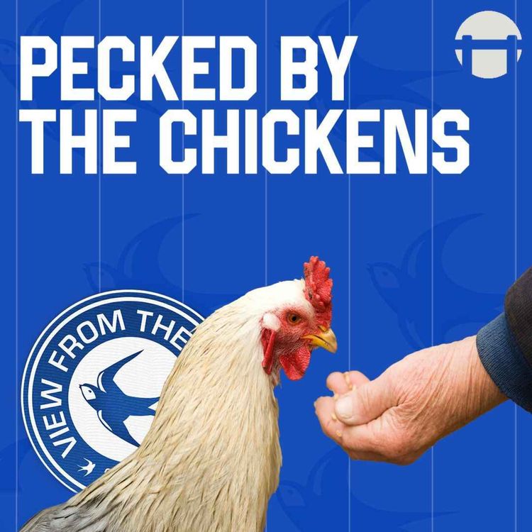 cover art for Pecked by the Chickens
