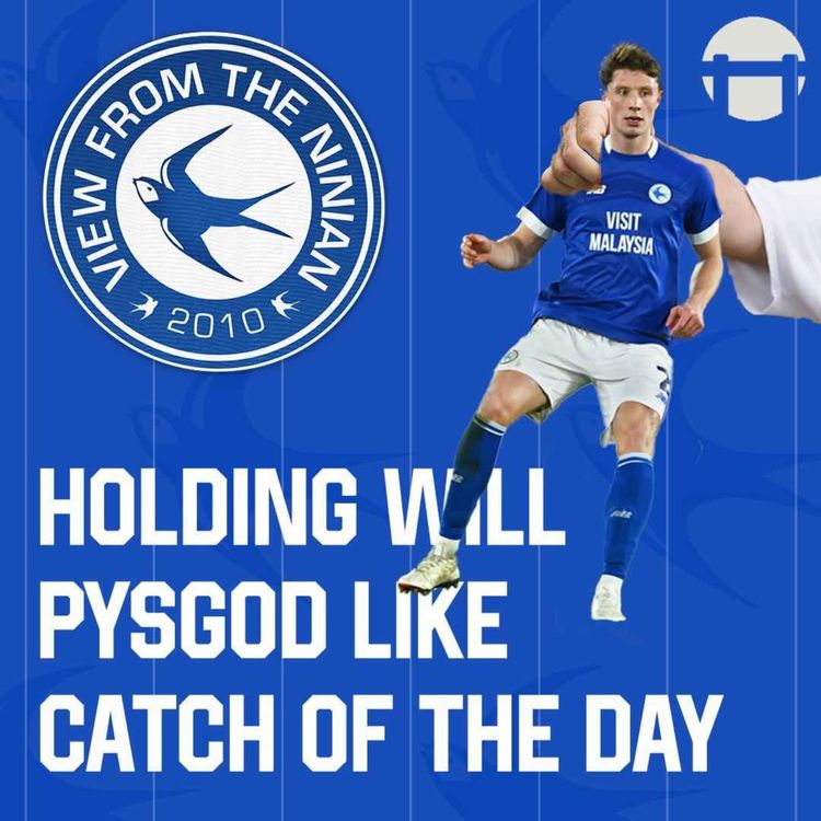 cover art for Holding Will Pysgod like catch of the day