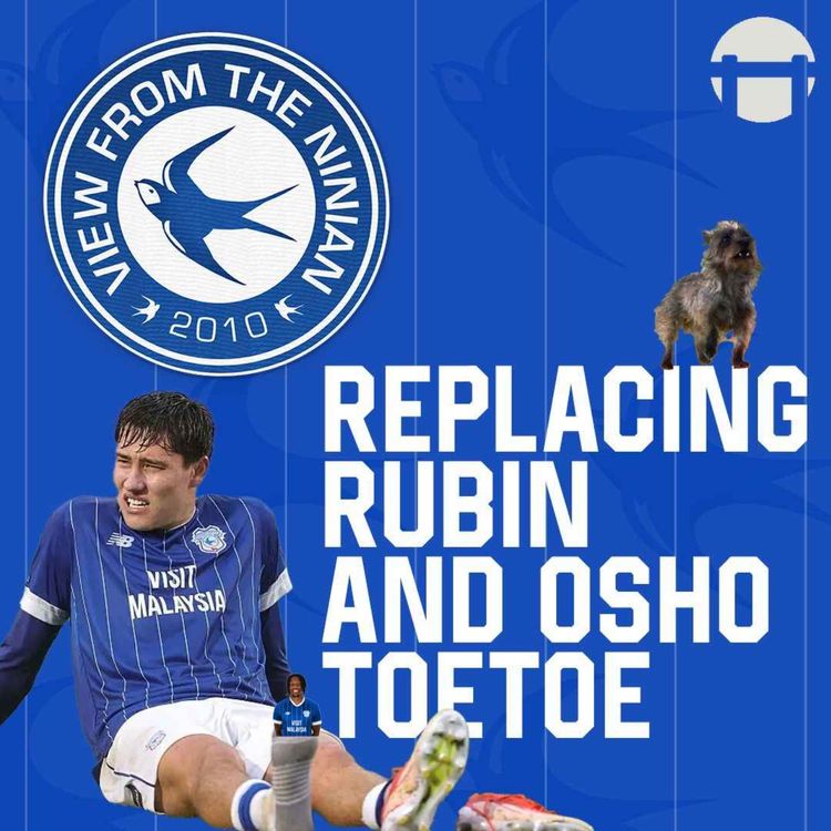 cover art for Replacing Rubin and Osho Toetoe: it's another VFTN live stream