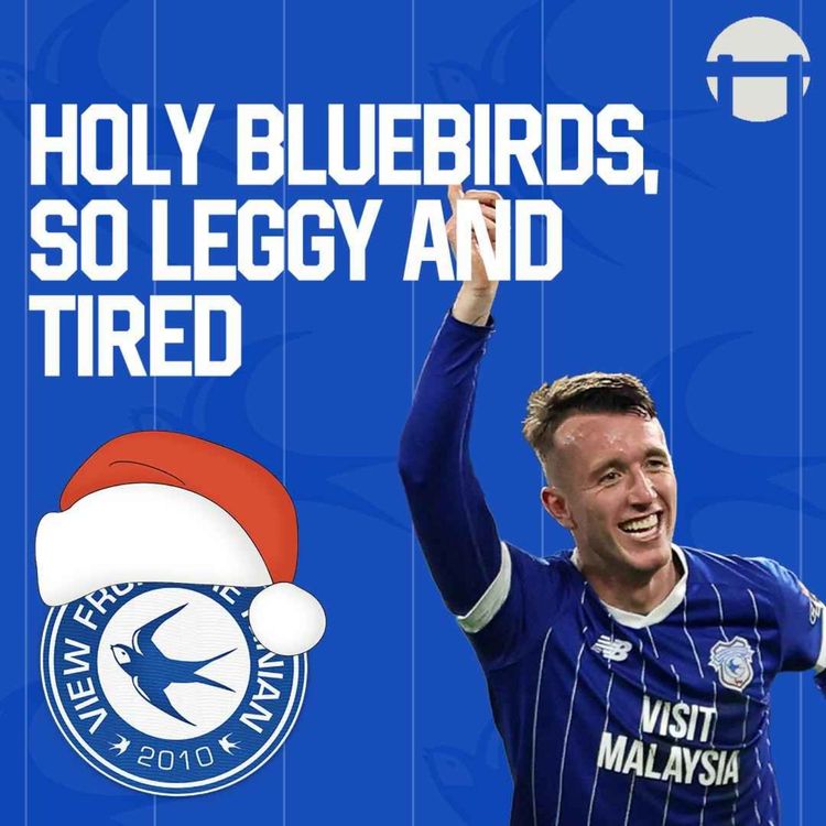 cover art for Holy Bluebirds, so leggy and tired