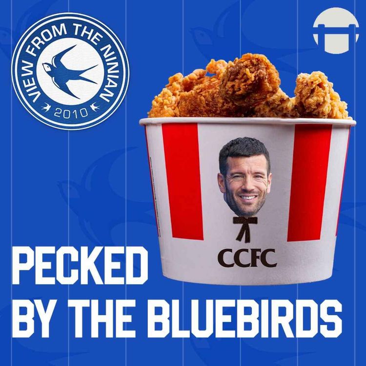 cover art for Pecked by the Bluebirds