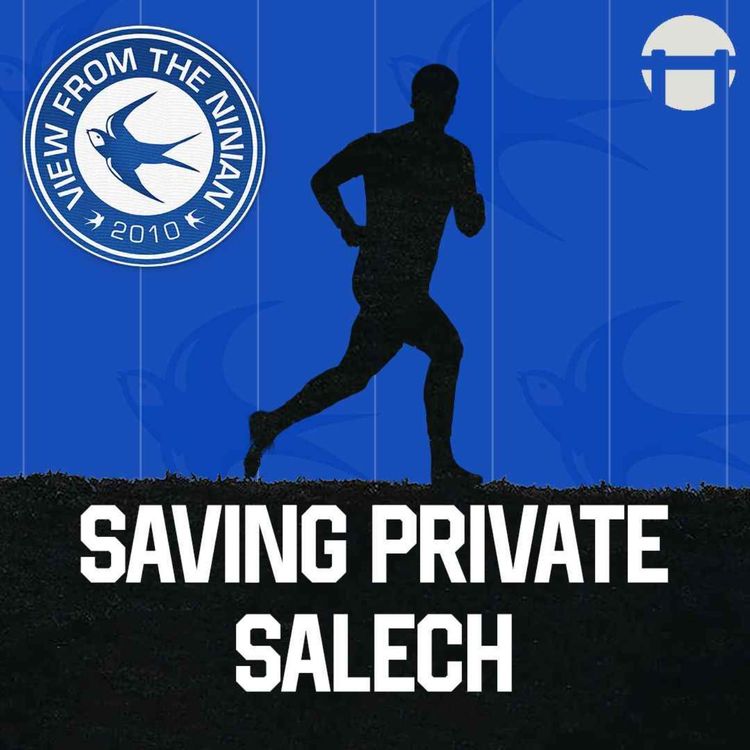 cover art for Saving Private Salech