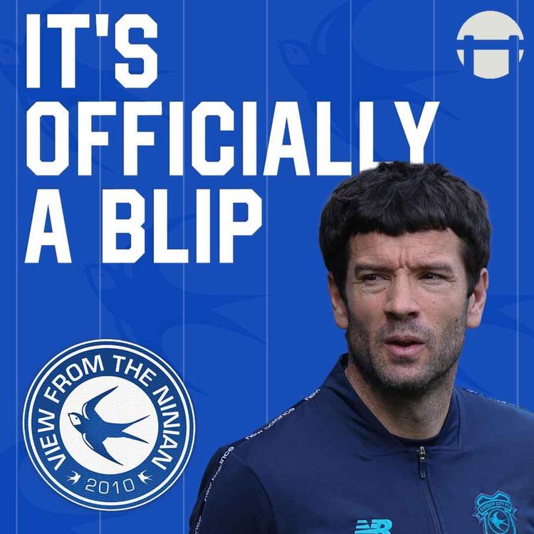 cover art for It's officially a blip!