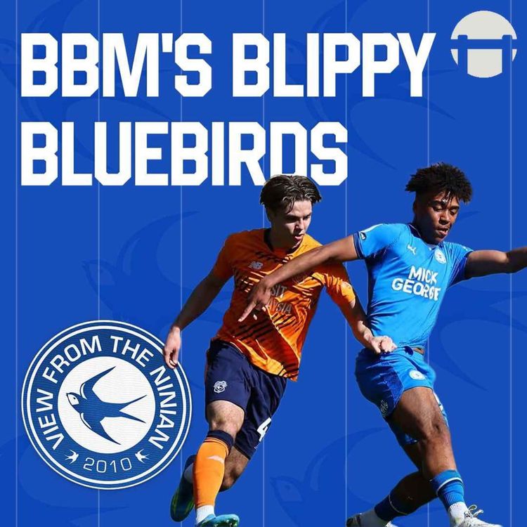 cover art for BBM's Blippy Bluebirds