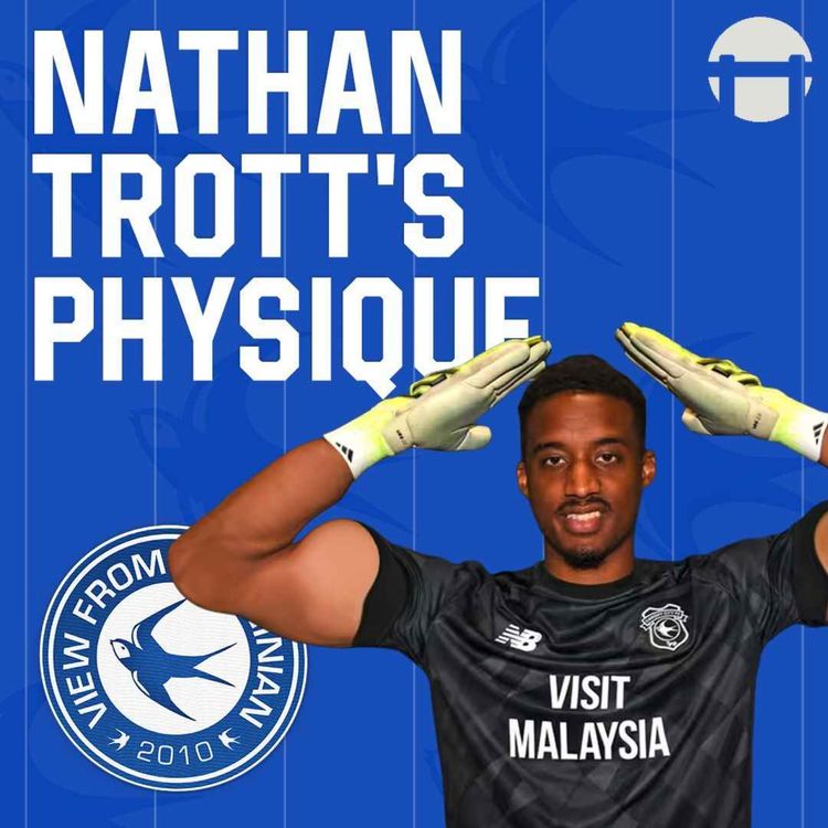 cover art for Nathan Trott's Physique