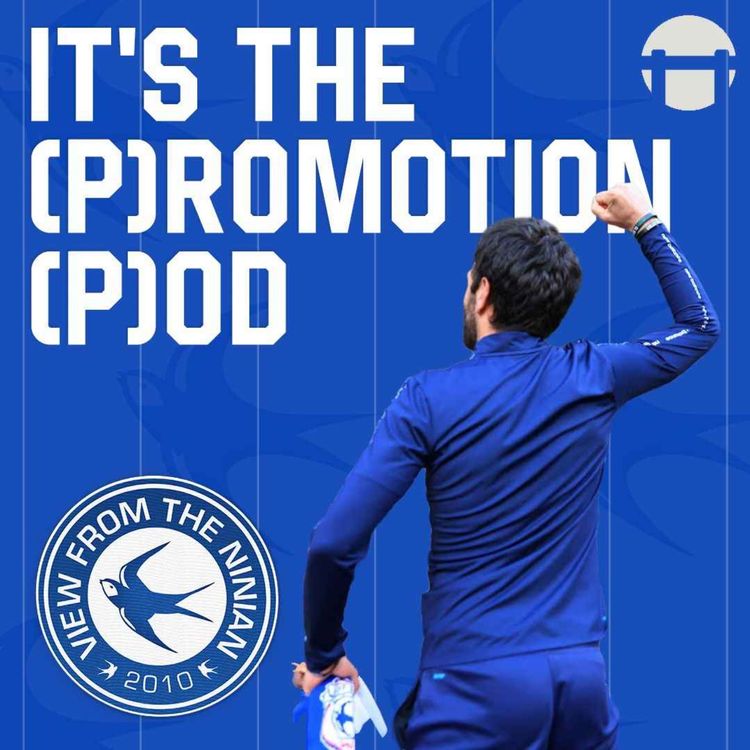 cover art for (P)romotion (P)od