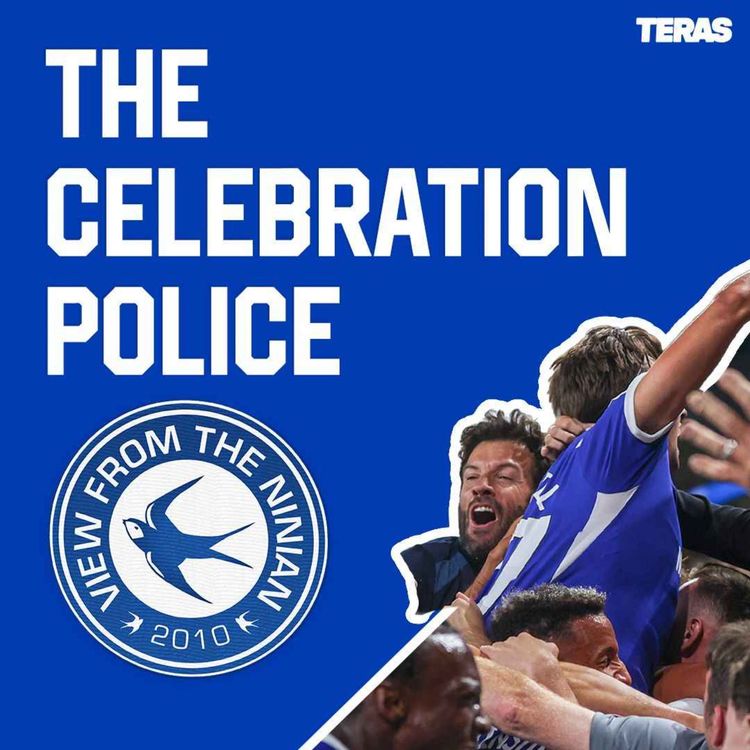 cover art for The Celebration Police