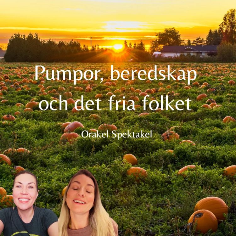 cover art for Pumpor, beredskap och det fria folket 