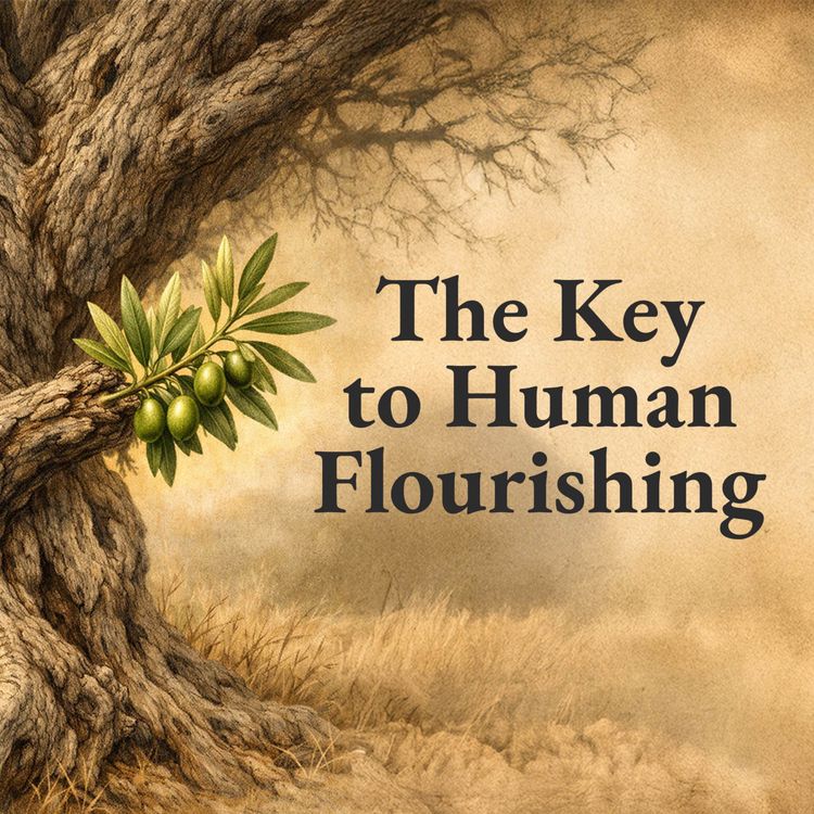 cover art for The Key To Human Flourishing | Pastor Moffat Chembe