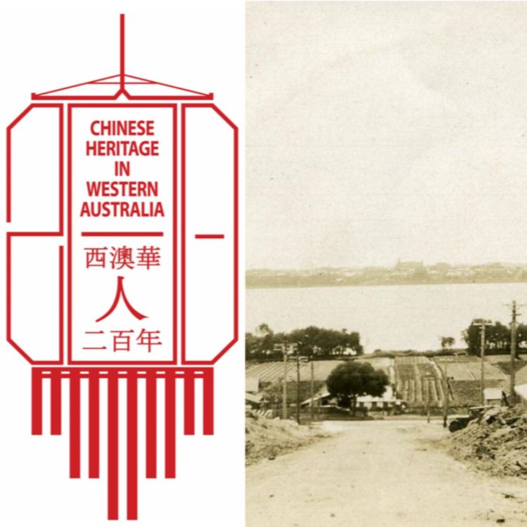 cover art for Chinese Market Gardens