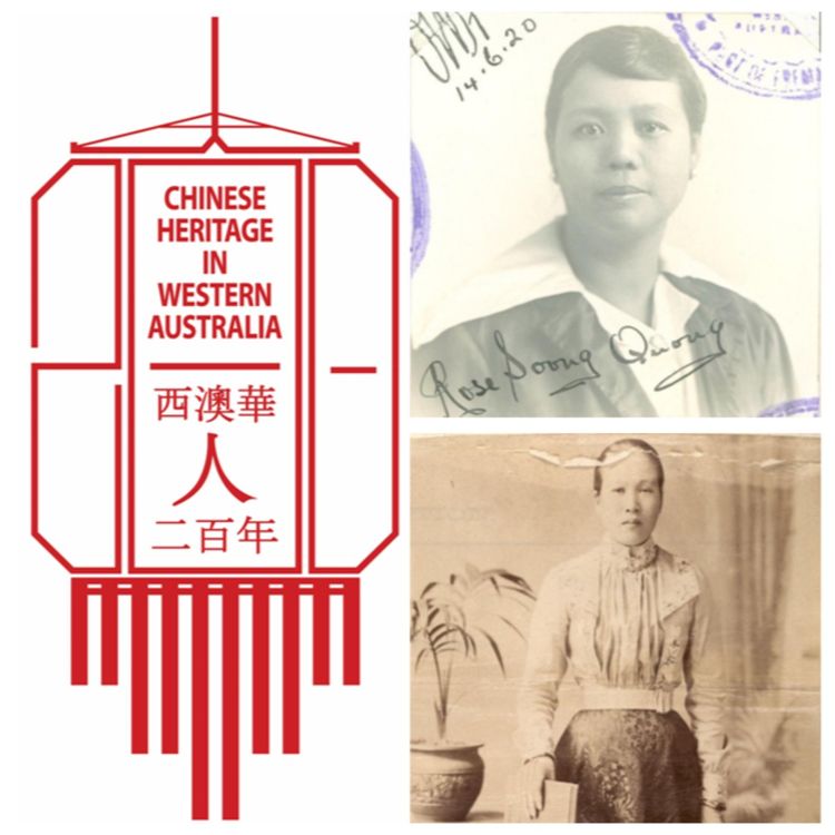 cover art for The Hidden Half