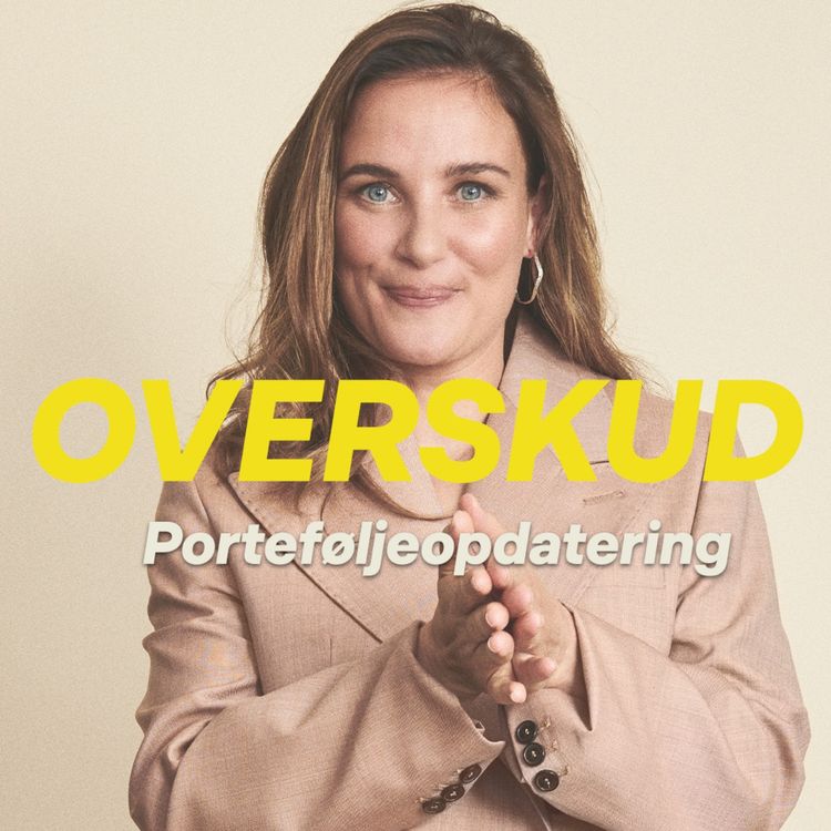 cover art for Overskud - Porteføljeopdatering